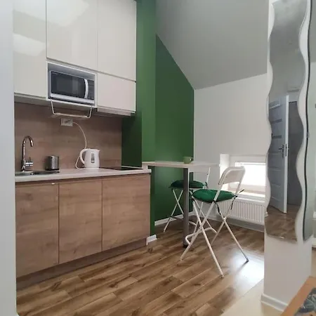 Sloneczny W Centrum * שצ'צ'ין
