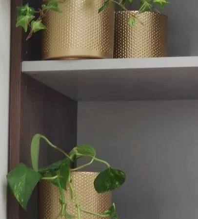 Sloneczny W Centrum *